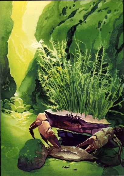 Artist PC Wendt, cancer