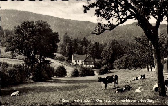 Postcard New concern Waltersdorf Großschönau in Upper Lusatia, Gasthaus Neu-Sorge