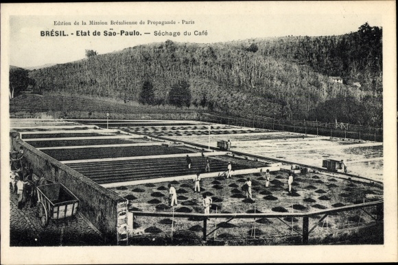 Postcard São Paulo Brasilien, Sechage du Cafge