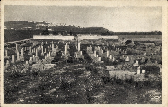 Ak Carthage Karthago Tunesien, Carthage Ruinen, Basilique de Damous Karitas, Landschaft