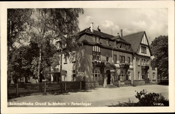 Postcard Grund Mohorn Wilsdruff Saxony, summer resort Grund near Ferlenlager, buildings, trees