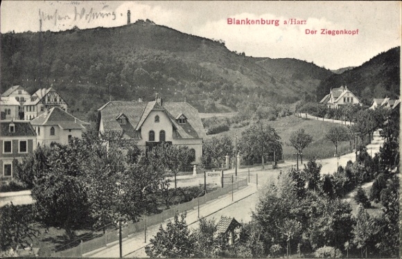 Postcard Blankenburg am Harz, Blankenburg a/Harz, The Goat's Head, Residential buildings, Landscape