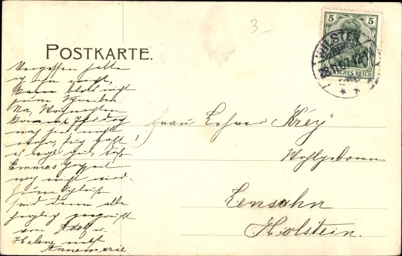 Letters PC Wilster in Holstein, greeting, town views, cow