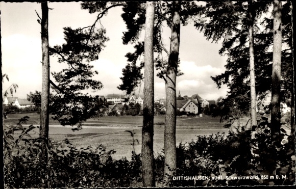 Postcard Dittishausen Löffingen in the Black Forest, partial view