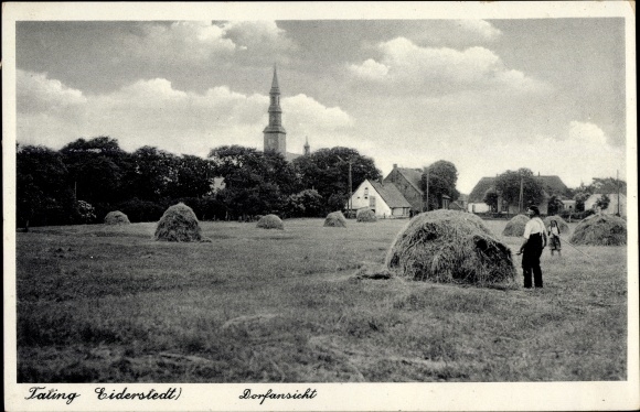 Ak Tating in Noord-Friesland, dorpsgezicht, hooi, boeren