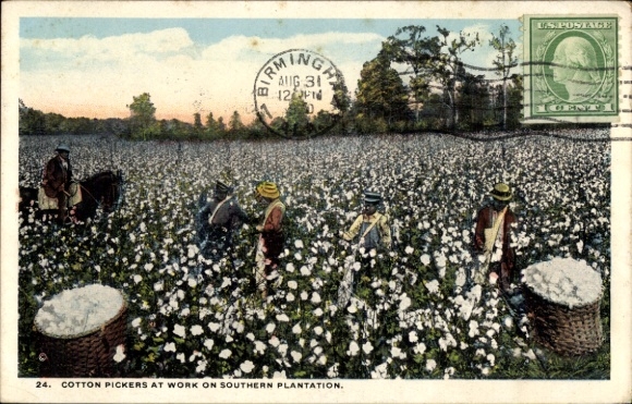 Ak Birmingham Alabama USA, katoenplukkers, plantagewerk, paarden, katoenvelden