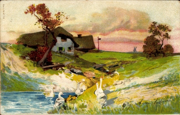 litho huis, weide, ganzen, vijver