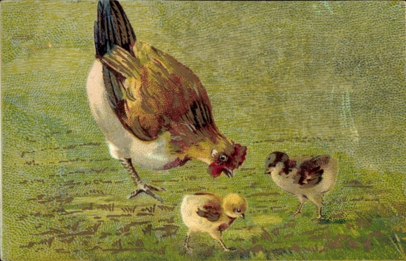 Artist Postcard Hen with Chicks