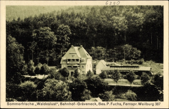 PC Gräveneck Weinbach in Hesse, summer freshness Waldeslust, owner P. Fuchs, forest landscape