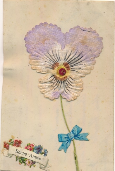 Celluloid PC Happy New Year, applied pansy blossom