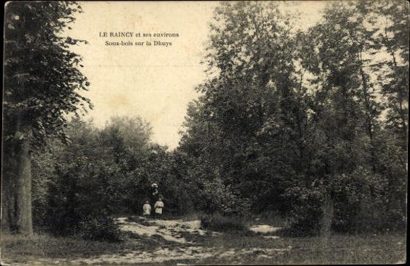 Set von 57 Ak von Le Raincy Seine Saint Denis, diverse Ansichten