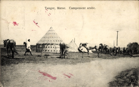 Ak Tanger Marokko, Zeltlager, Pferde, Person, Landschaft,  Marokko