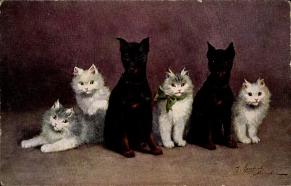 Artist Postcard Animals, black brown Pinscher, longhaired cats