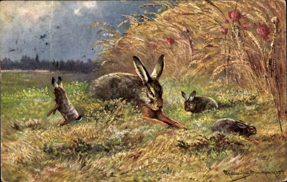 Artist Postcard Müller, M., Rabbits playing in the field
