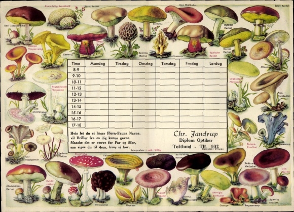 Rozkład jazdy optyk zegarmistrz Chr. Jandrup Toftlund Dania - grzyby flora-fauna około 1950 r.