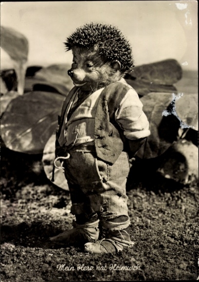 KP Mecki the Hedgehog, Moje serce tęskni za domem