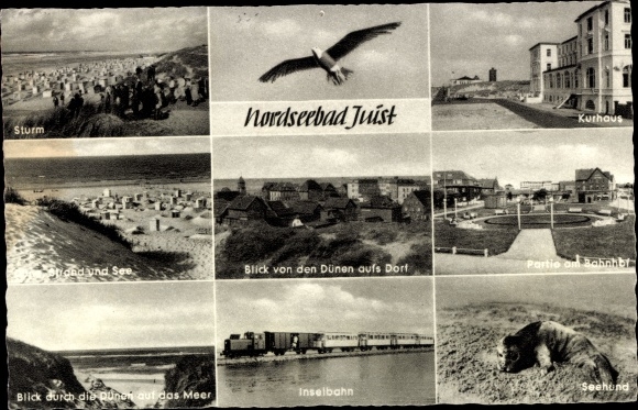 Postcard North Sea resort Juist in East Frisia, spa house, train station, seal, island railway, seagull, dunes