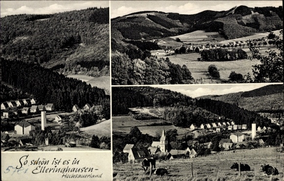 KP Elleringhausen Olsberg w Sauerland, zdjęcie krajobrazu, Hochsauerland, krowy na pierwszym planie