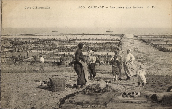 Ak Cancale Ille et Vilaine, Les parcs aux huitres