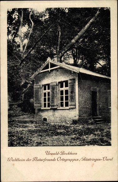 Postcard Bockhorn in Oldenburg Friesland, forest home of nature lovers, local groups Rüstringen Varel, jungle