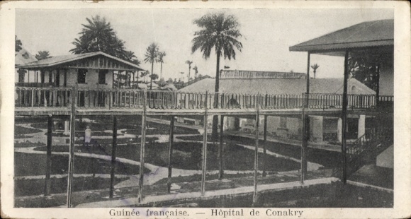 Ak Conakry Konakry Guinee, Hôpital de Guinee française, palmbomen, gebouwen