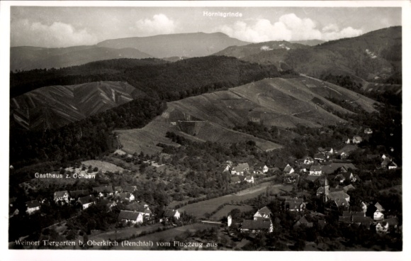 Ak Oberkirch im Renchtal Baden, Luftaufnahme von  Gasthaus z. Ochsen, Weinberge, Hornisgrinde