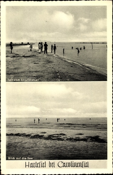 Postcard Harlesiel Carolinensiel Wittmund in Lower Saxony, beach life, view of the sea