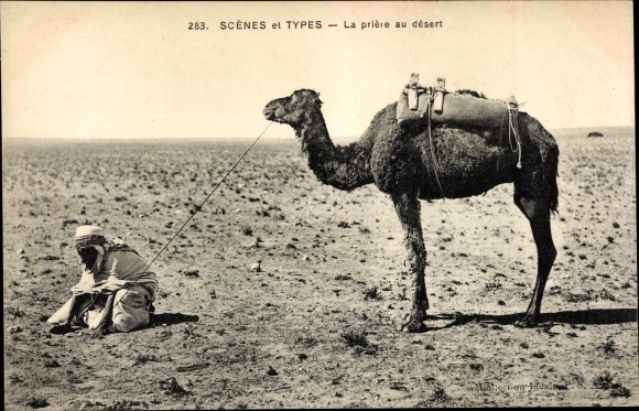 Ak Scenes et Types, La priere au desert, Maghreb, Gebet, Kamel