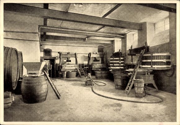 Postcard Bingen am Rhein, Haus Fromm, wine cellar, press house