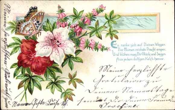 Postcard butterfly on blossoms, flowers, leaves, lilies