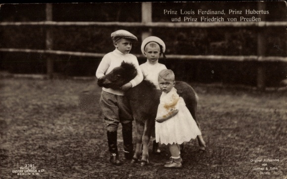 Postcard Prince Louis Ferdinand of Prussia, Prince Hubertus, Prince Friedrich, Pony