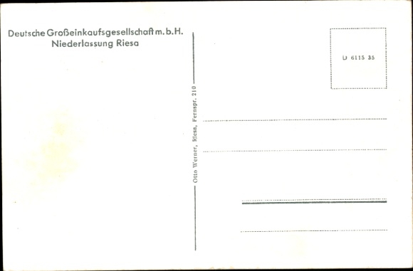 Postcard Riesa on the Elbe Saxony, soap factory, pasta factory, match factory, town hall