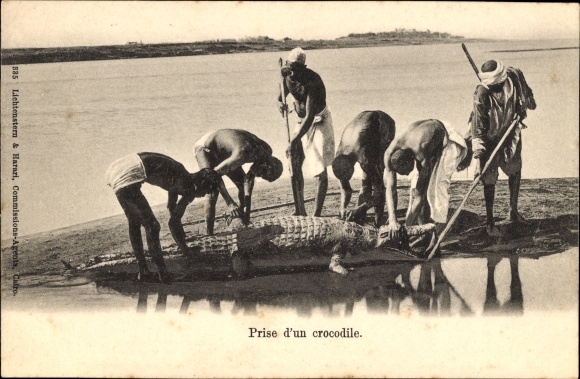 Postcard Egypt, catching a crocodile