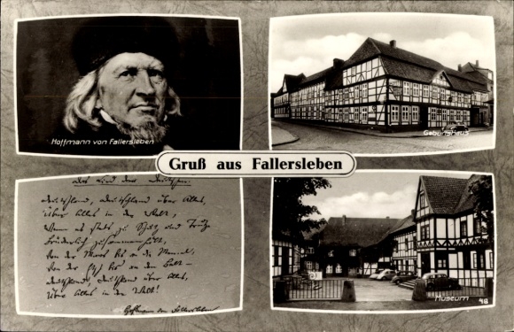 Postcard Fallersleben Wolfsburg in Lower Saxony, Hoffmann from half-timbered houses, greetings from Fallersleben