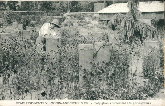 Ak Verrières le Buisson Essonne, Etablissement