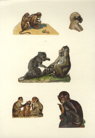 5 wafer monkeys, approx. 8 x 12 cm to 4.5 x 3.5 cm