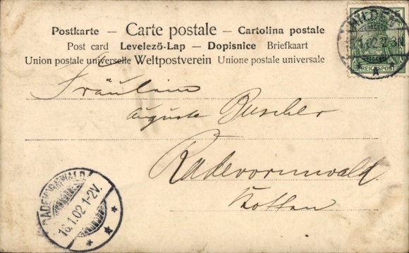 Ak vrouwenportret, bontstola, hoed