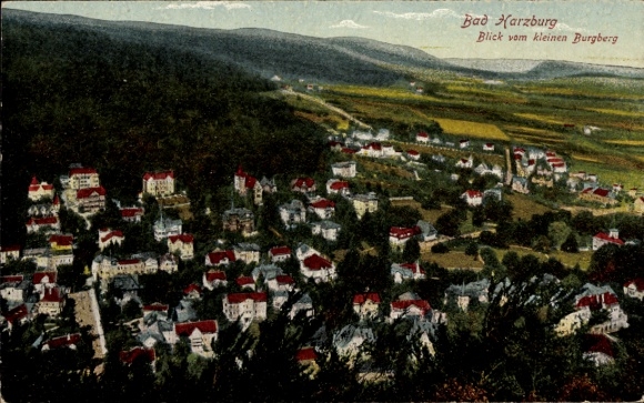 Ak Bad Harzburg in Niedersachsen, Blick vom kleinen Burgberg auf den Ort