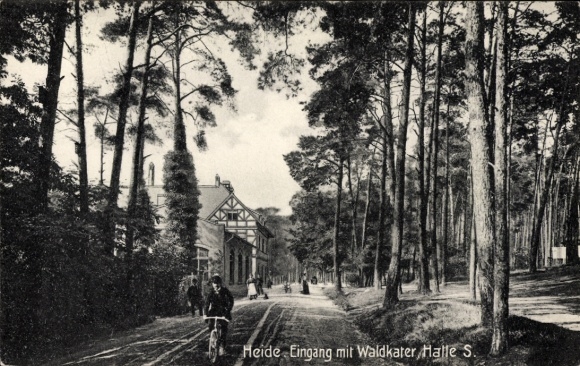 Postcard Dölauer Heide Halle an der Saale, entrance with forest cat, cyclist