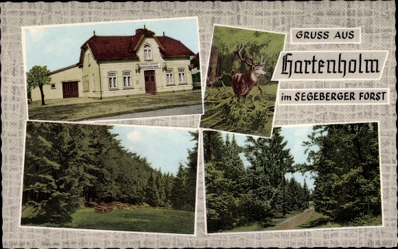 Postcard Hartenholm Schleswig Holstein, Segeberger Forest, Central-Gasthof-Pension