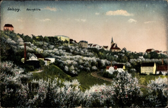 Ak Leisnig in Sachsen,  Baumblüte, schöne Landschaft, Häuser, blühende Bäume