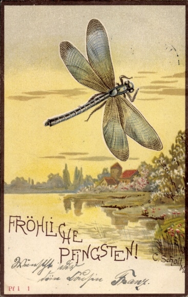 Artist Postcard Scholt, Congratulations, Pentecost, Dragonfly