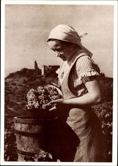 Set of 8 AK "Where the grape ripens in autumn"