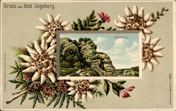 Embossed Passepartout Chromo-Litho Bad Segeberg in Holstein, Kalkberg, Edelweiss
