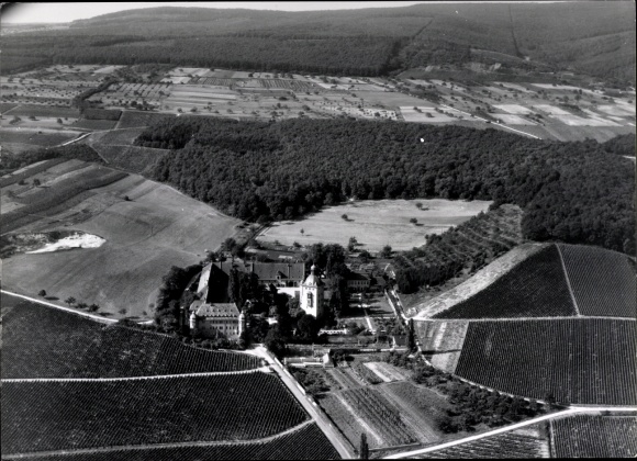 Foto Oestrich Winkel am Rhein Rheingau, Fliegeraufnahme