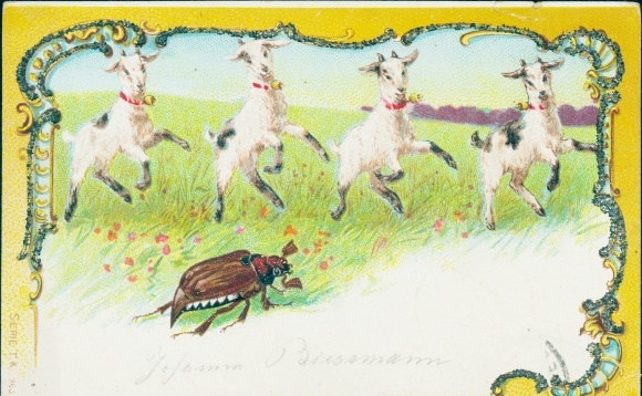 Passepartout PC may beetle, young goats, glitter