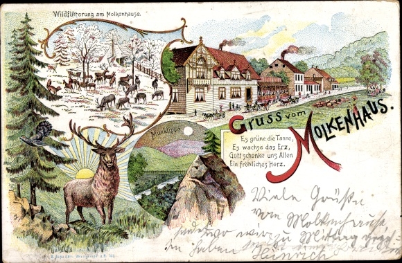 Chromo-Litho Bad Harzburg am Harz, Gasthof Molkenhaus, wild feeding, Muxklippe