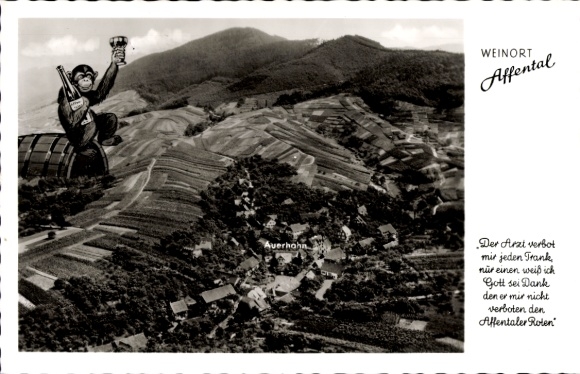 Postcard Affental Bühl in Baden, aerial photograph, Gasthaus zum Auerhahn