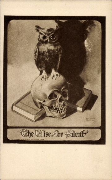 Postcard The wise are silent, the wise are silent, skull, owl, books
