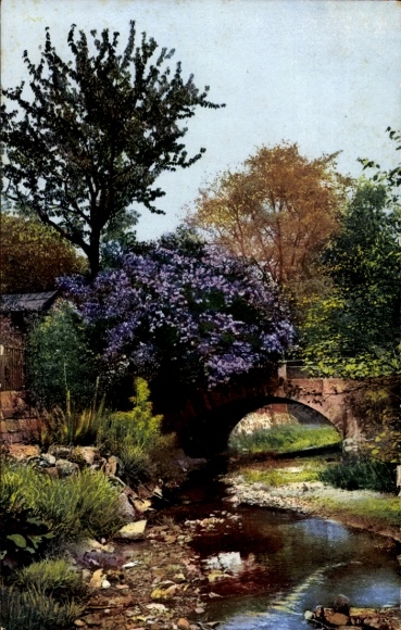 Postcard German Spring, Lilac, River, Bridge